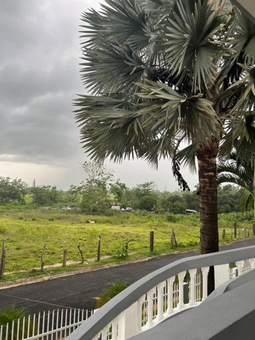 Mayaguez Spacious 3 Bedroom Villa Eksteriør bilde